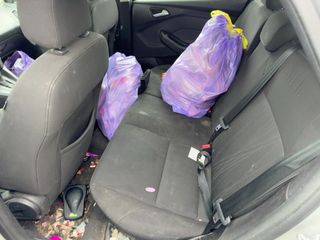 2015 Ford Focus SE - Interior Rear Seat Image