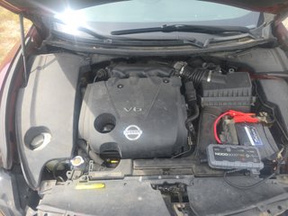 2010 Nissan Maxima 3.5 SV w/Premium Pkg - Engine Compartment Image
