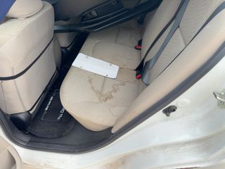 2015 Honda Civic SE - Interior Rear Seat Image