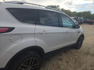 2017 Ford Escape Titanium - Exterior Side Passenger